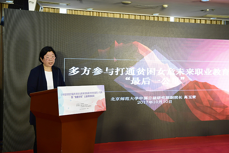 3.北京师范大学中国公益研究院副院长高玉荣发言.jpg