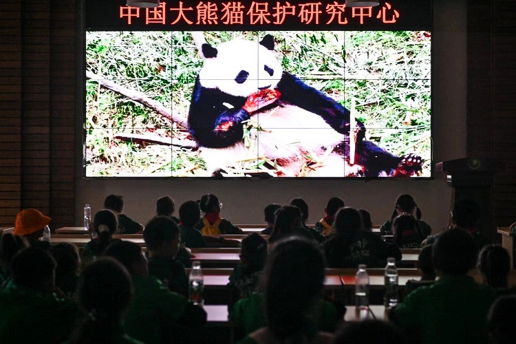 微信图片_20240606163259.jpg