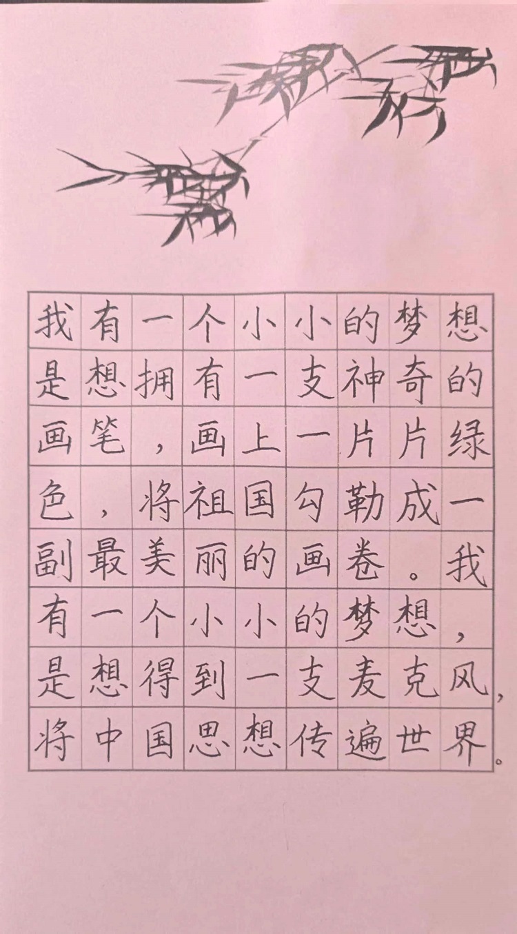图为来自甘肃的姚蕊蕊创作的书法作品《小小梦想》。.jpg
