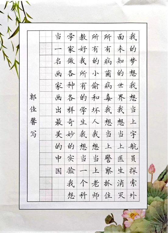 图为来自甘肃的郭佳馨创作的书法作品《我的梦想》。.png