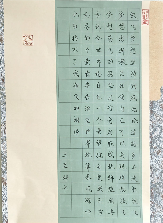 图为来自甘肃的王昱婷创作的书法作品《为理想而奋斗》。.png