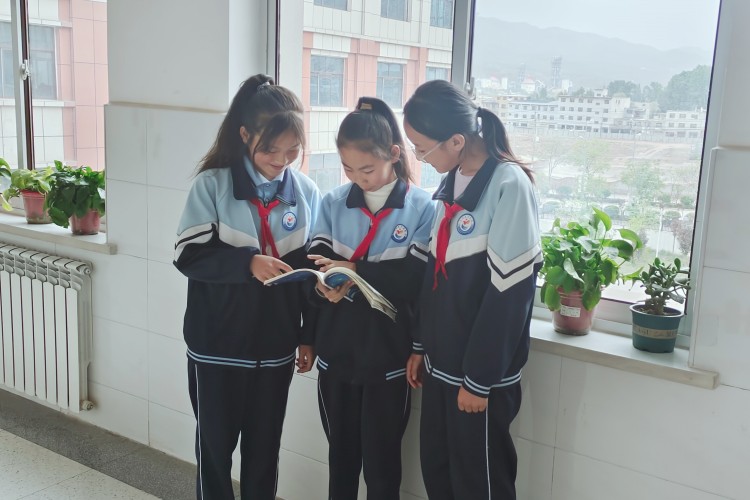 微信图片_20260508140538_279_86.jpg