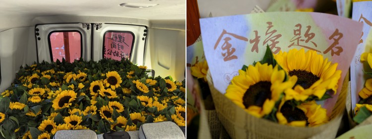拼图2.jpg